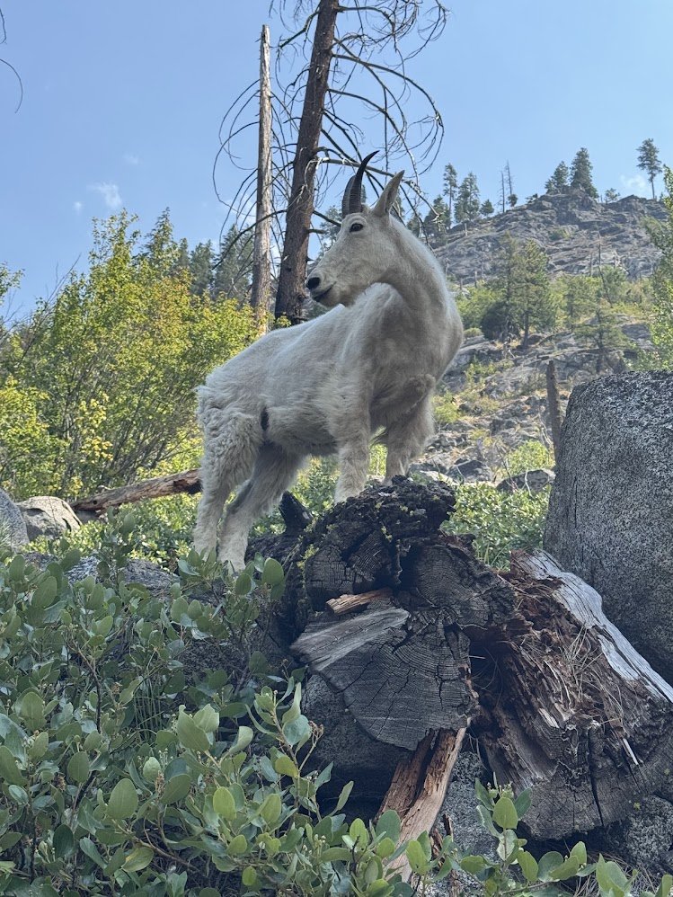 Photo from Prusik Peak