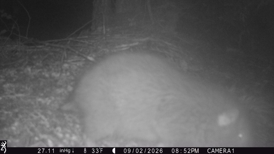 Photo from Larch crater