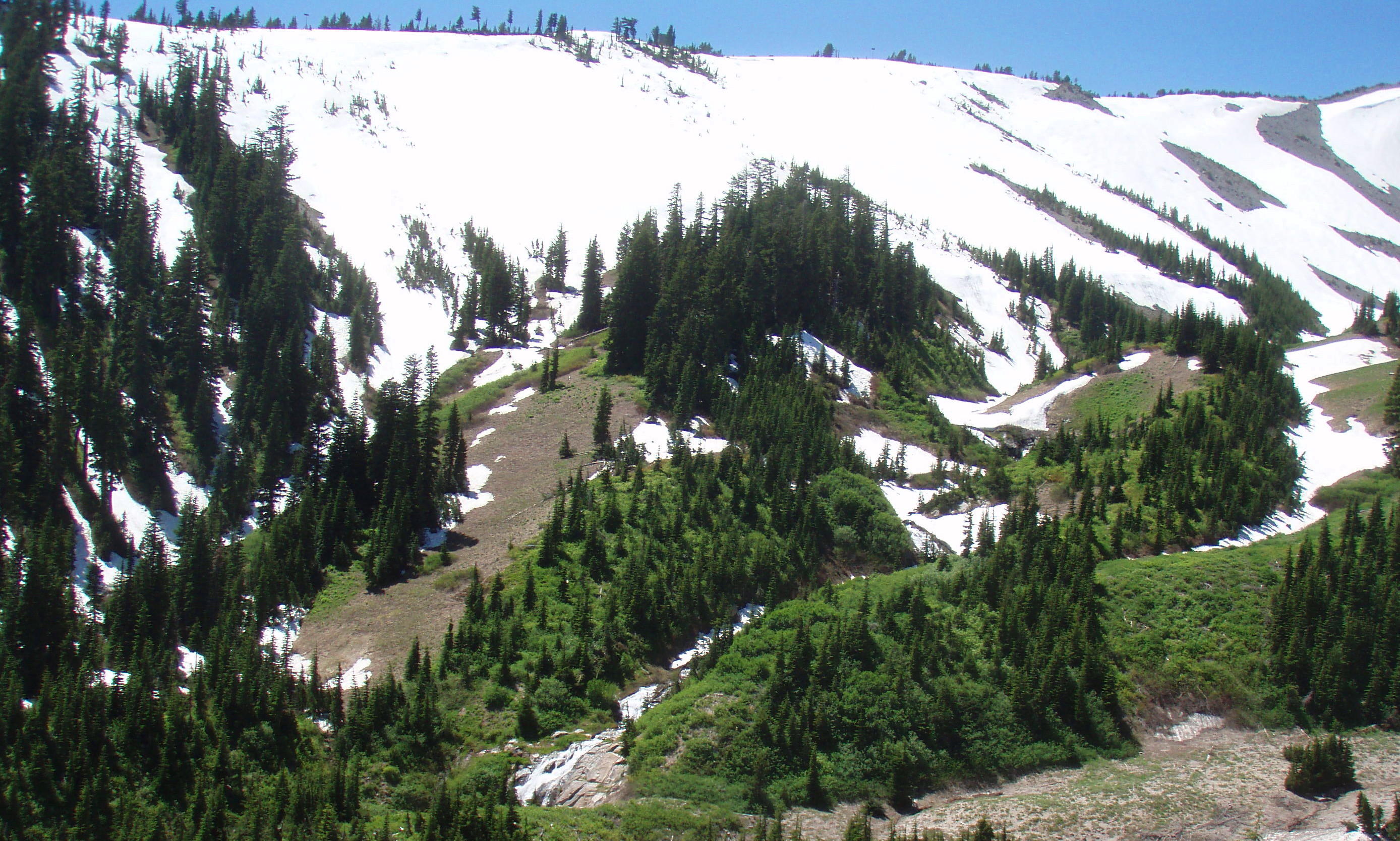 Tricky section of Timberline trail climbing out of Clark Canyon