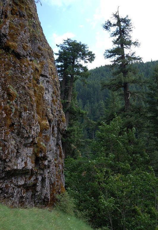 Dead ended here, then went back and found the chute to get below 2nd cliff band