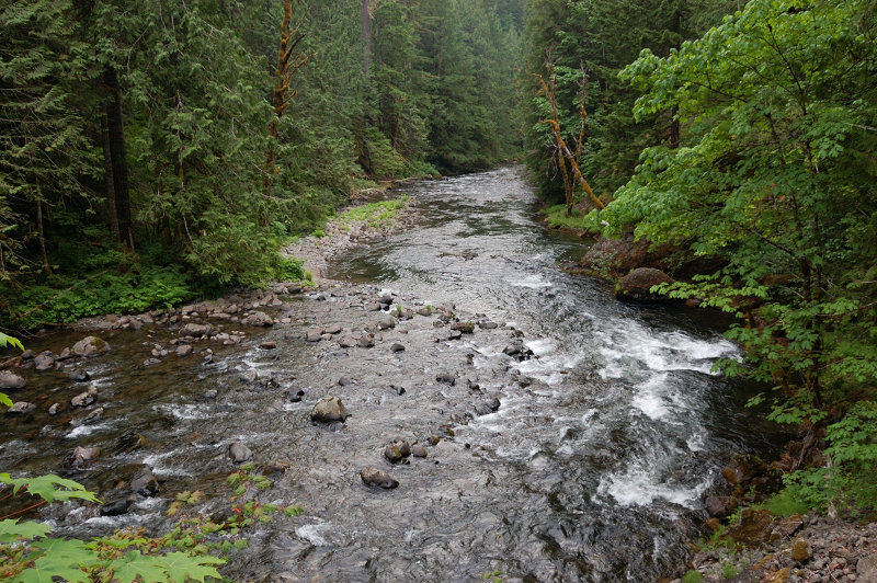 Salmon River as seen from the main trail