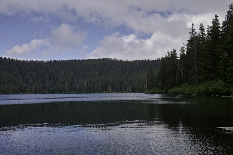 There were surprisingly few people around Wahtum lake for a July Sunday.