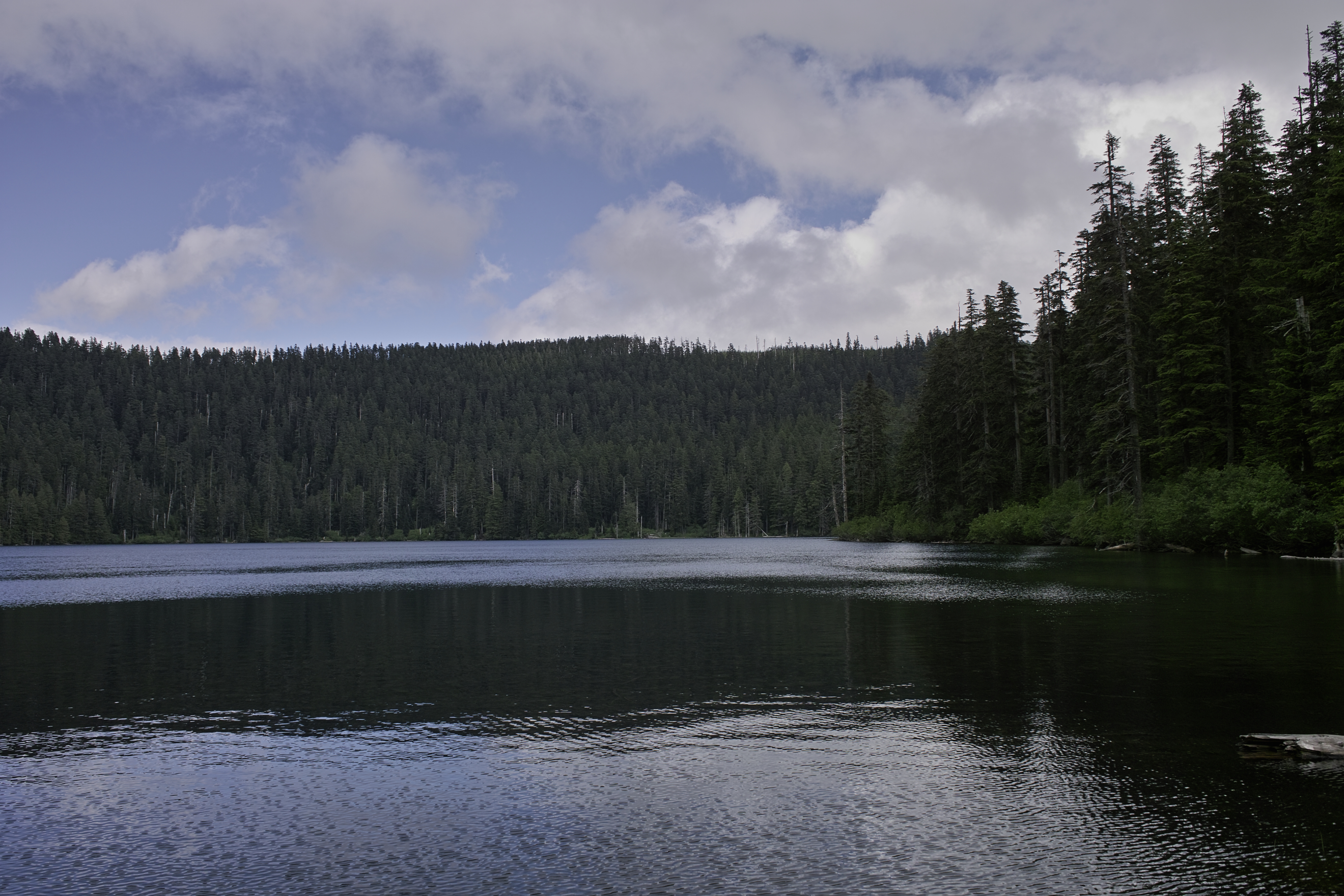 There were surprisingly few people around Wahtum lake for a July Sunday.