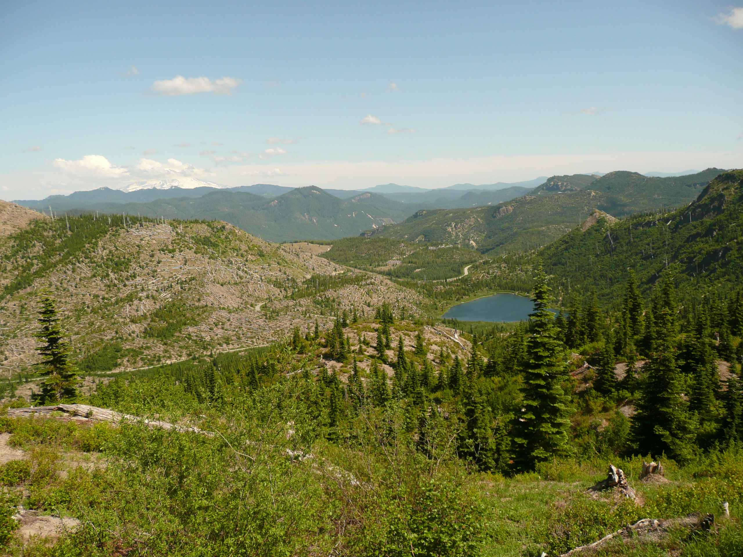Meta Lake