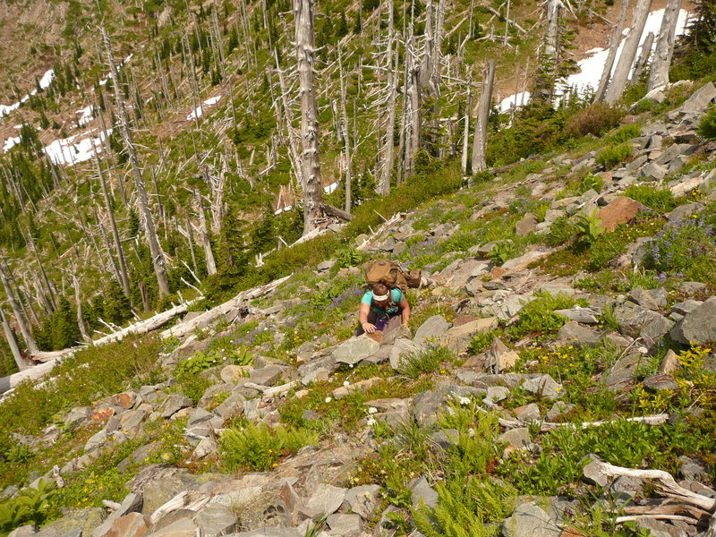 Scrambling up to Whitter Ridge Trail, only to return back down.