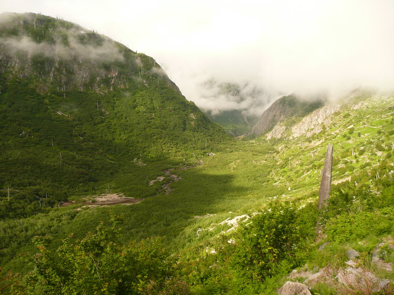 Sunday morning, our first view of Coldwater Creek gorge and thankfully the fog was burning off.