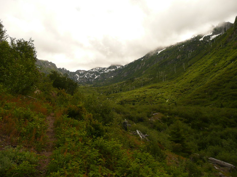 Coldwater Creek gorge