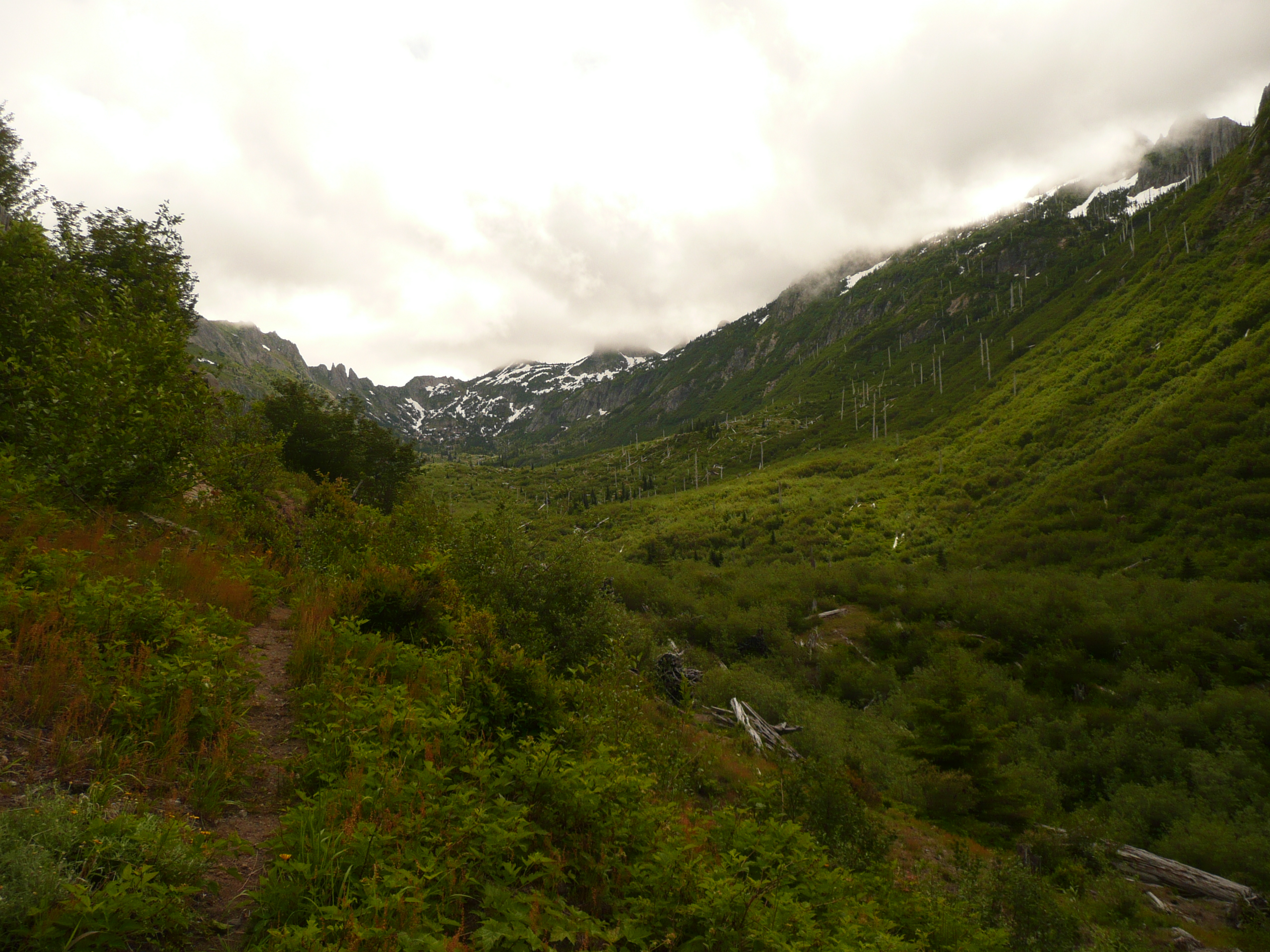Coldwater Creek gorge