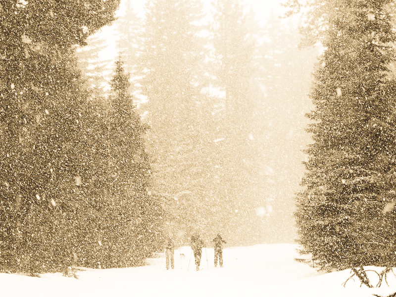 snowy
