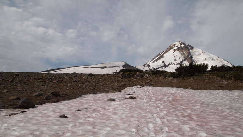 Snowfield