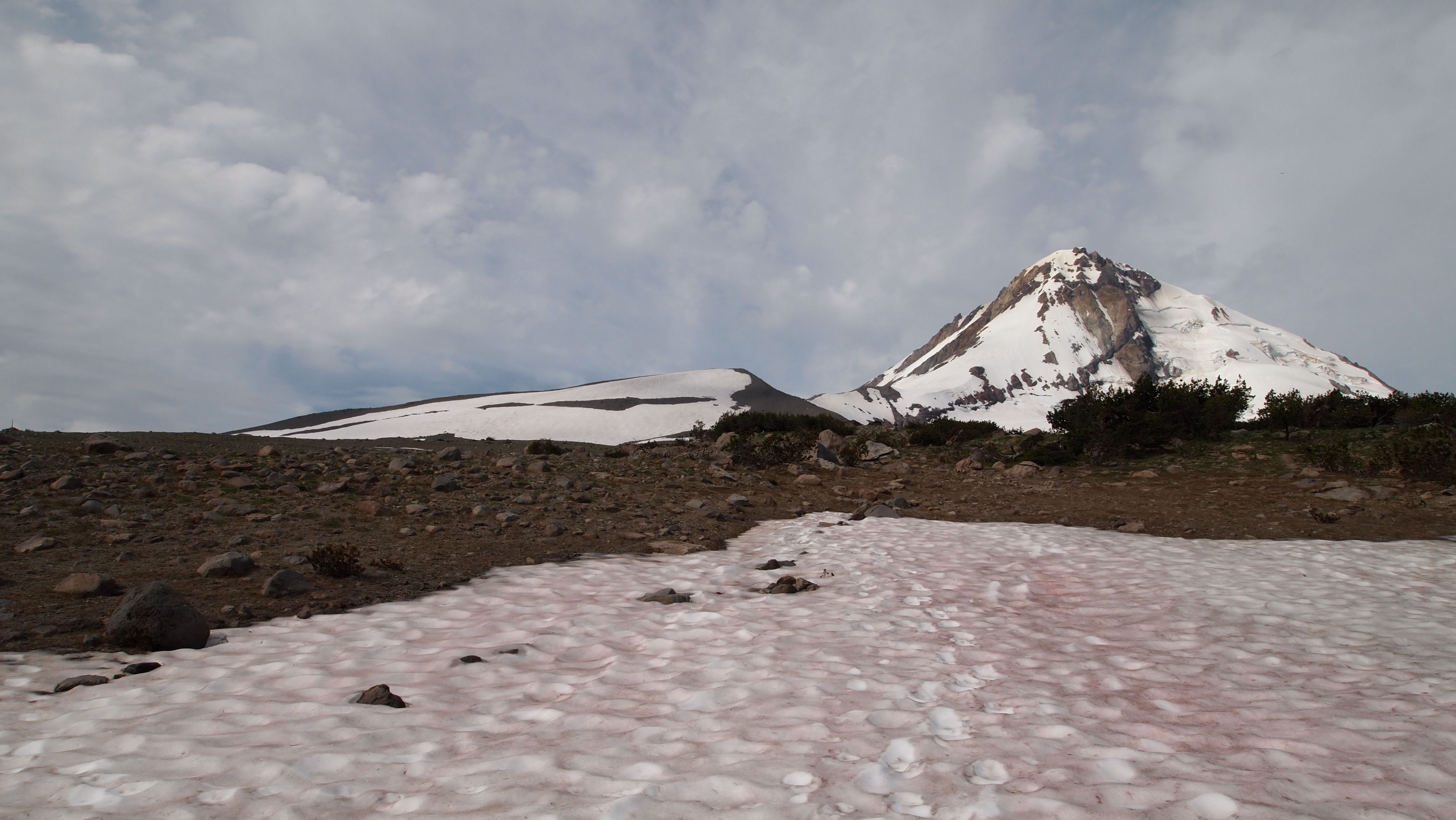 Snowfield