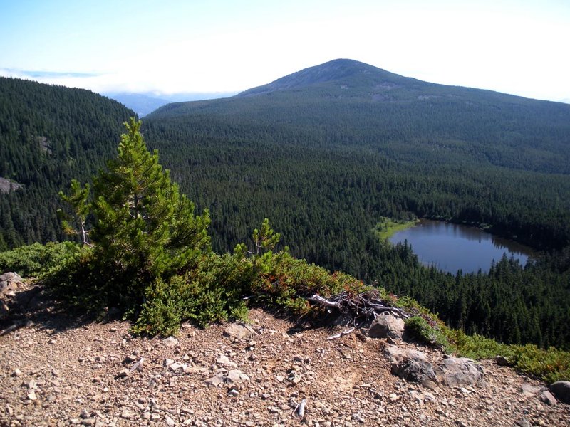 Green Point summit