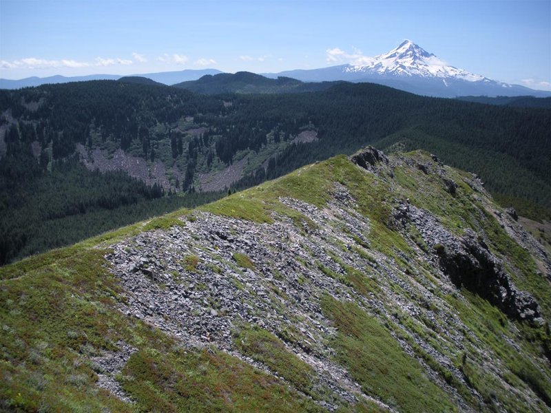 Tomlike summit