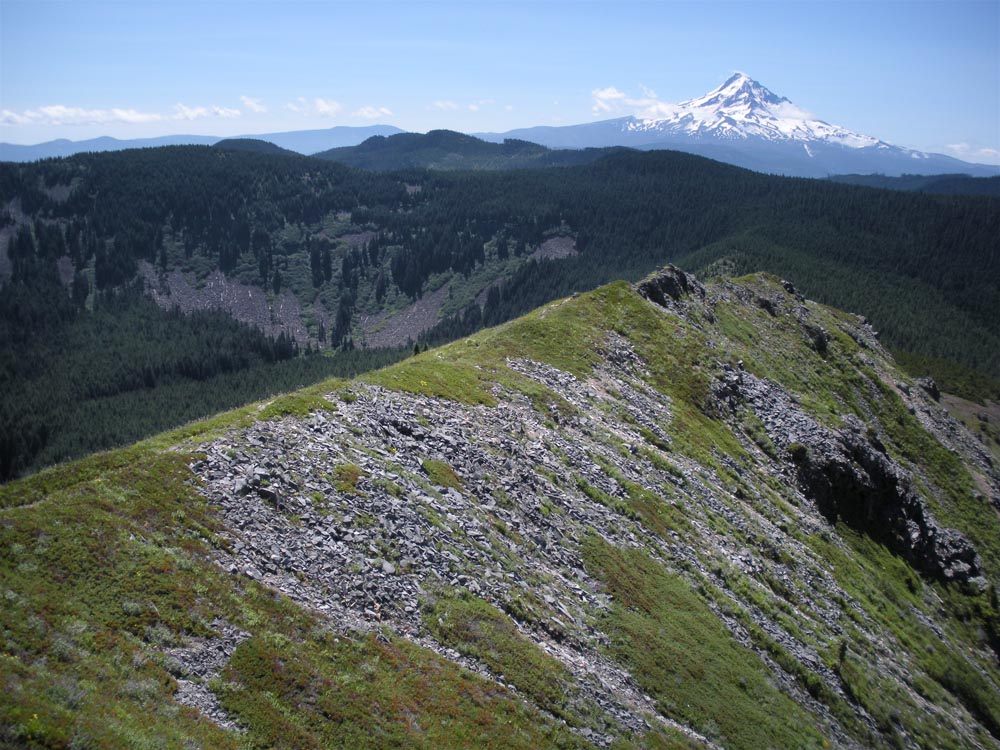 Tomlike summit