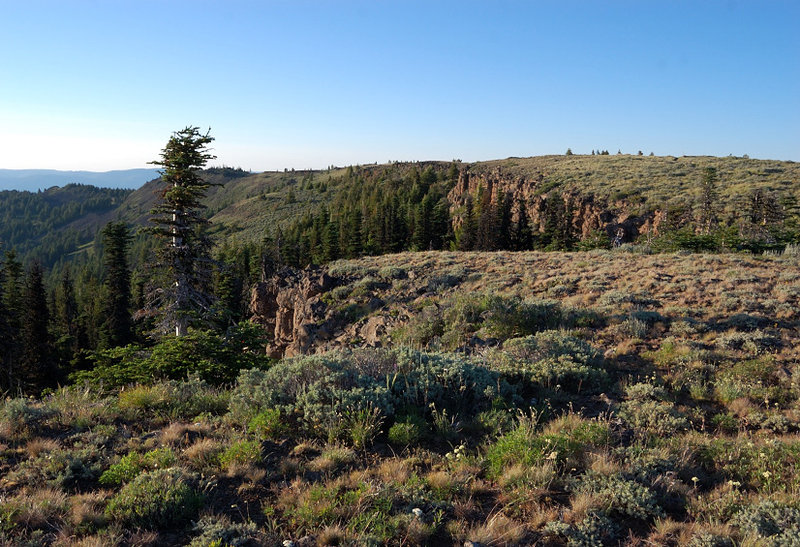 We camped on this huge dry meadow just short of the summit