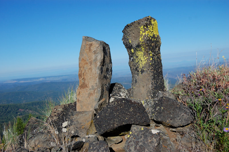 Nature's rock art