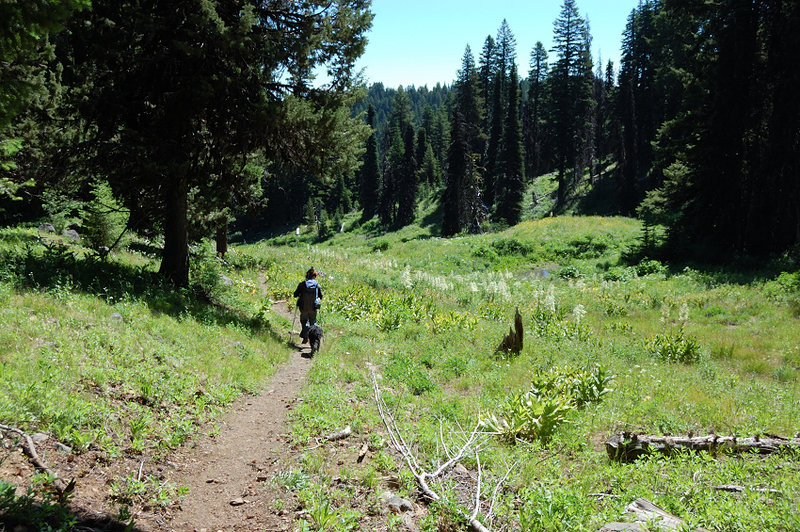 Going down trail 804