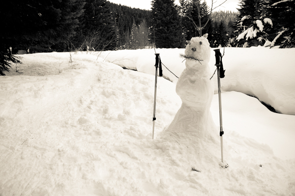 snowman prevents falls into the creek