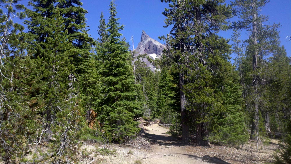 First view of Thielsen