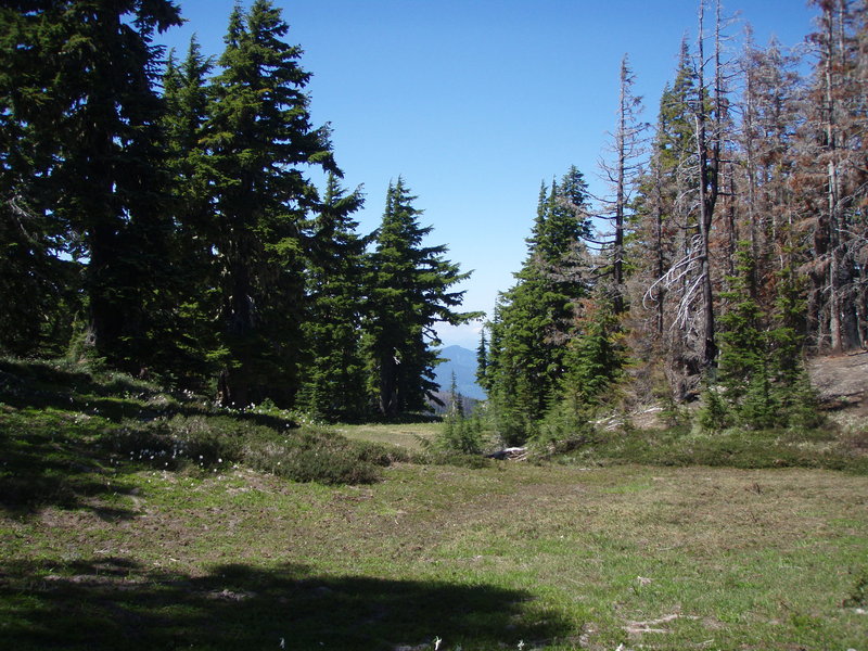 Cairn Basin - Part of the area was burned, part was not