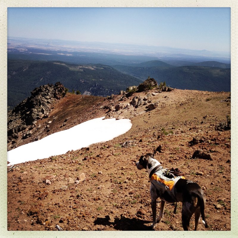 Aero wishing he could play in that Snow.
