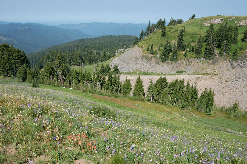 Looking down Lost Creek canyon