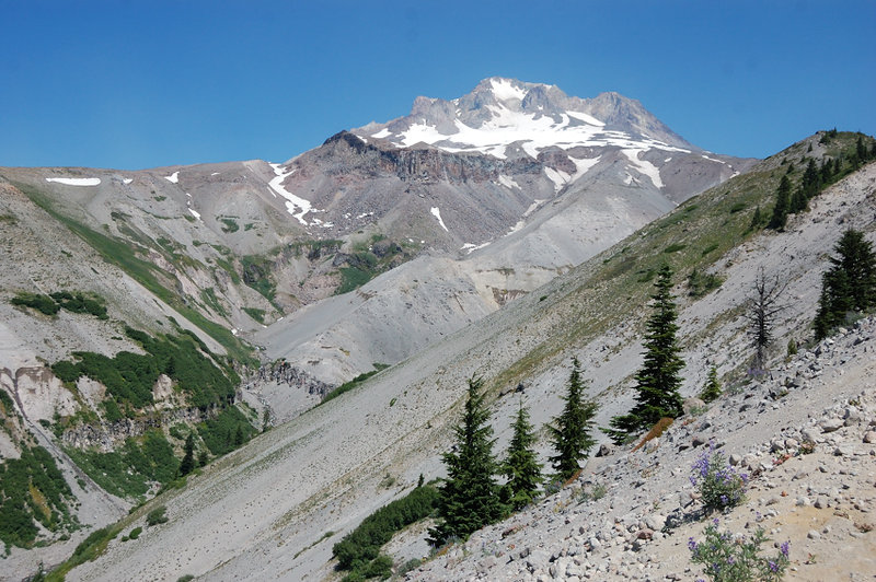 Mandatory shot of Big Zigzag Canyon