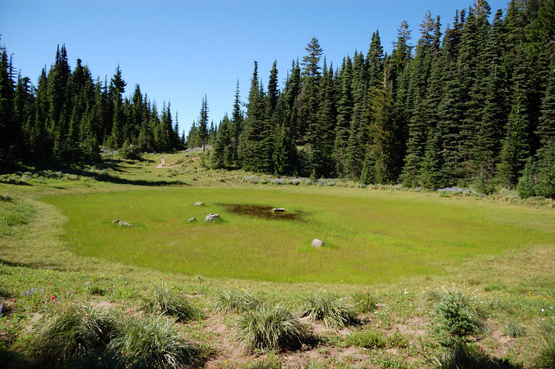 Pond #1 almost dried up