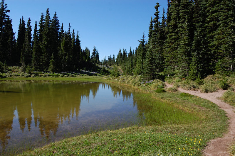 Pond #2