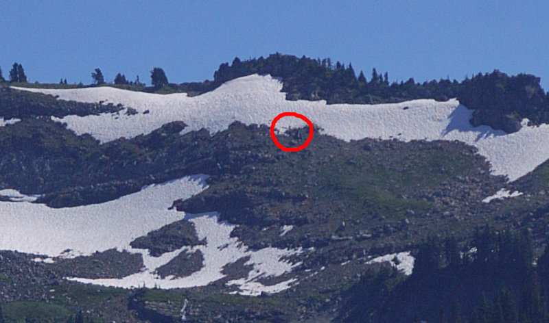 Helicopter is hard to see but it's there