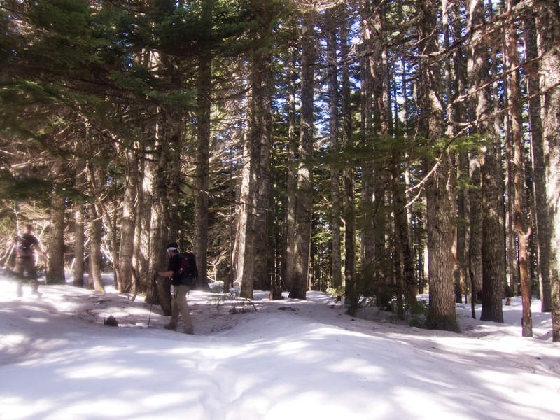 Benson Plateau