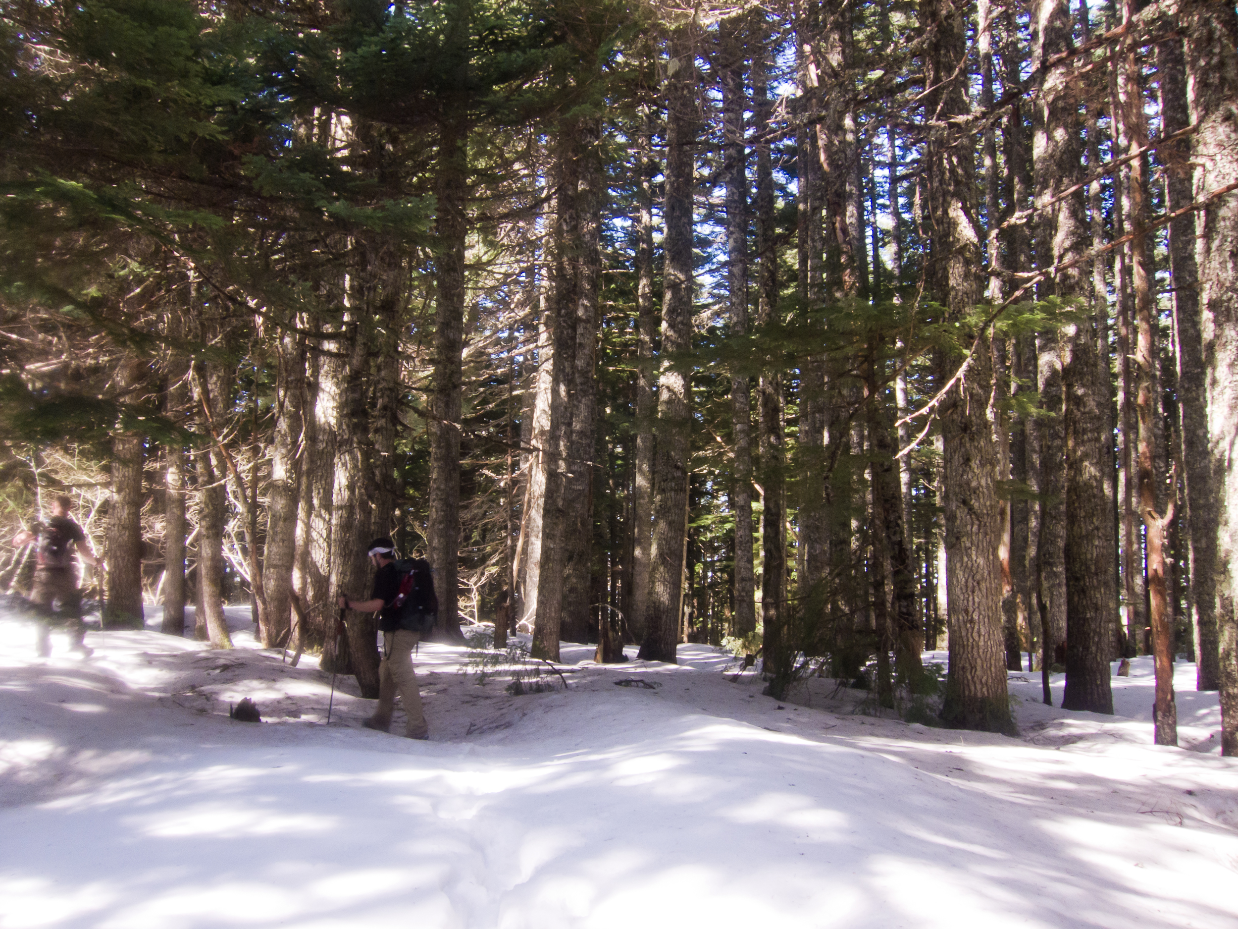 Benson Plateau