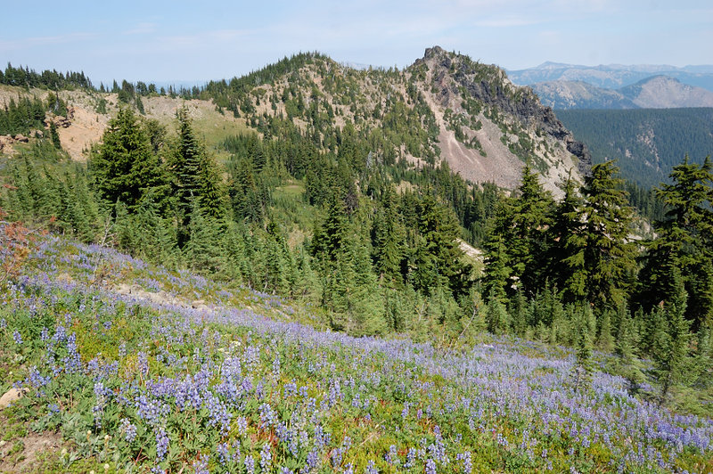 Just unnamed summit (Point 6375) from unnamed meadows