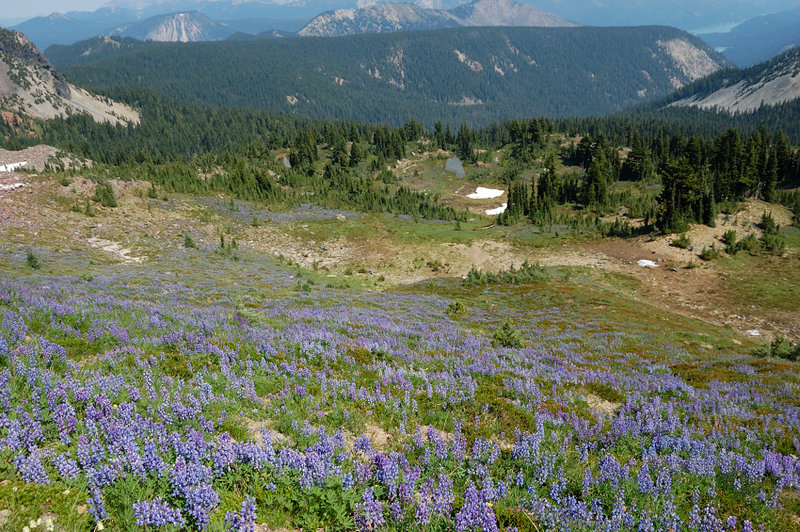 Looking down the east side of Hogsback