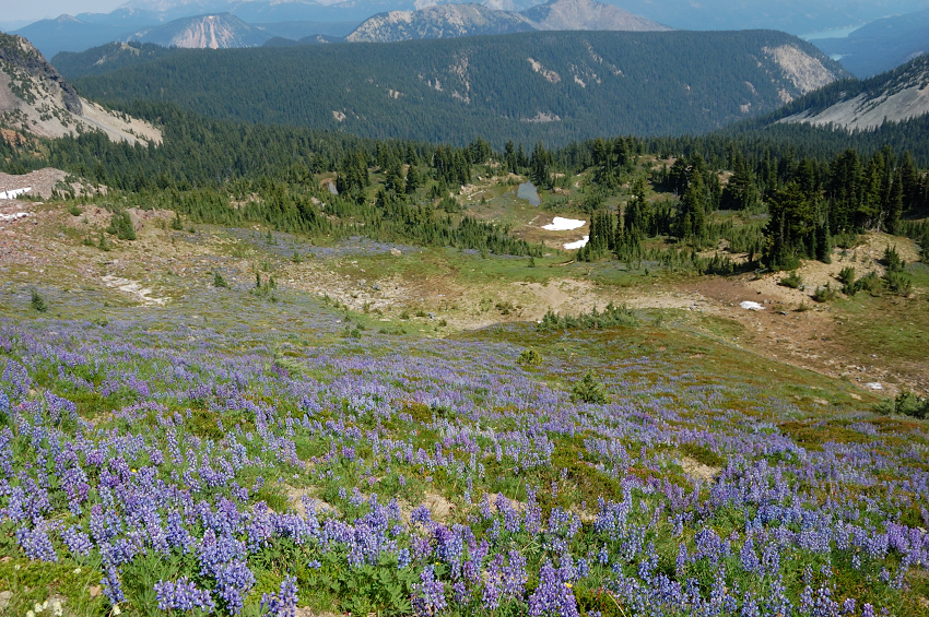Looking down the east side of Hogsback