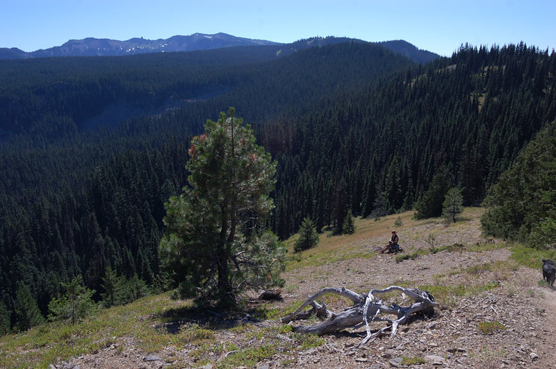 View to Hogsback (upper left) from Twin Peaks