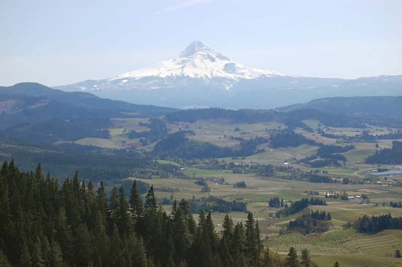 Mt. Hood over HR valley