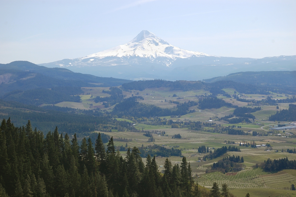 Mt. Hood over HR valley