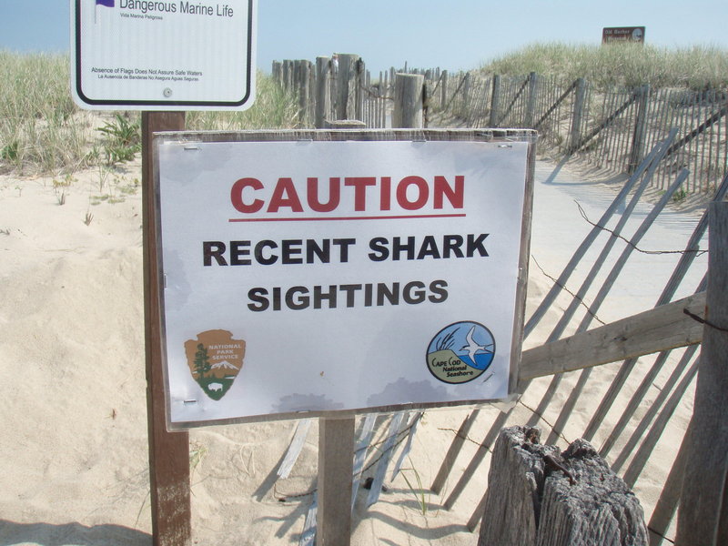 I went swimming close to shore around here