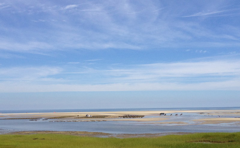 oyster farmers
