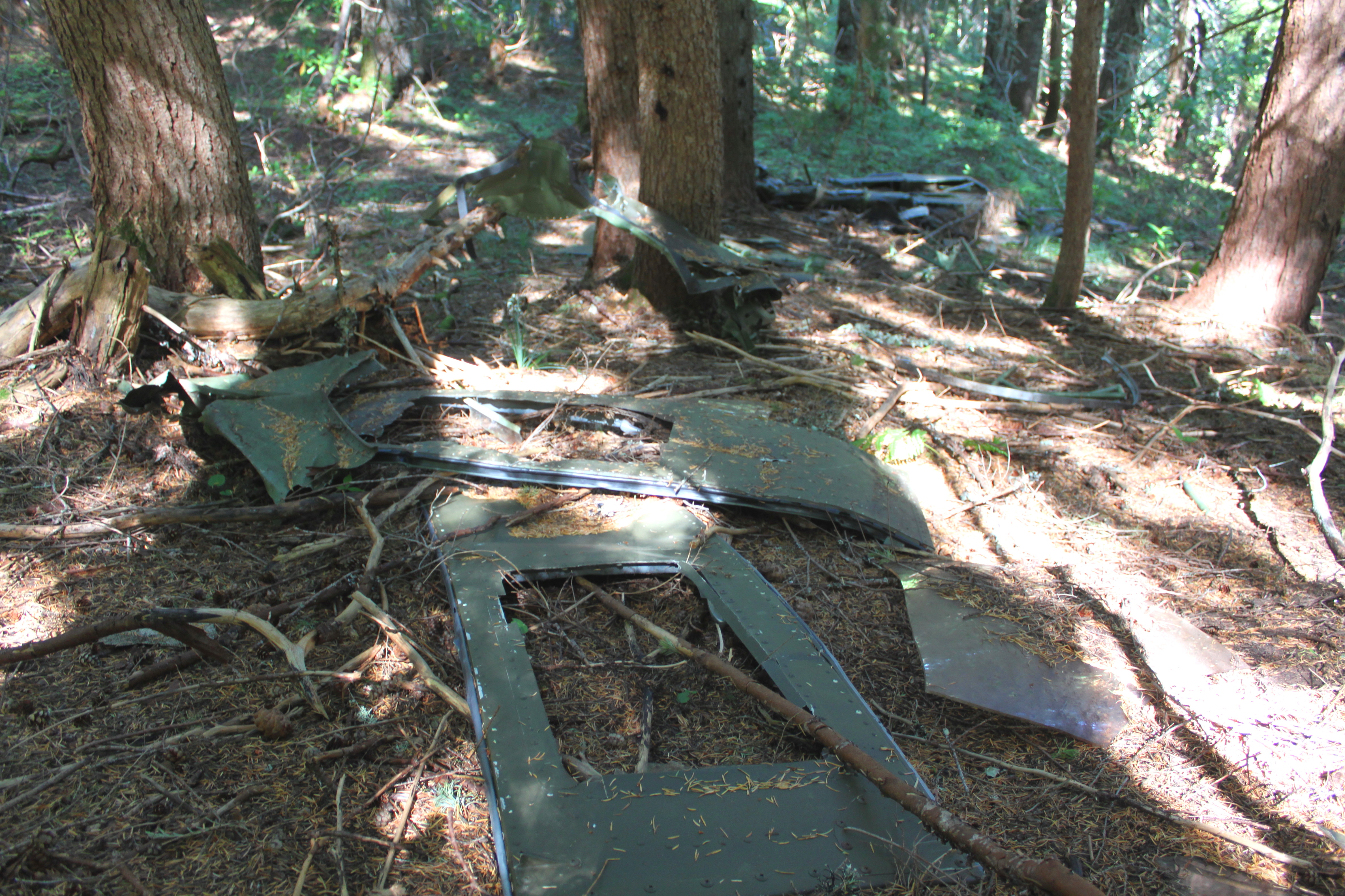 heli crash site