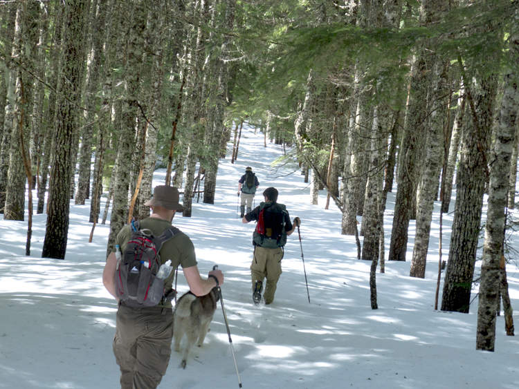 On the Benson Plateau