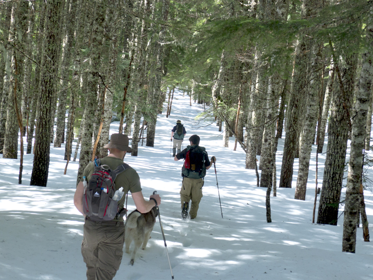 On the Benson Plateau
