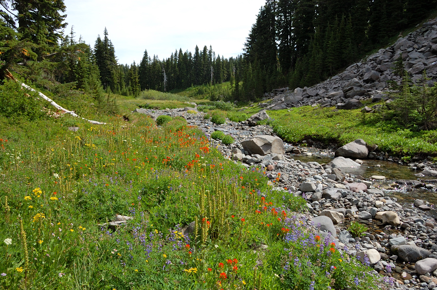 S Breitenbrush River