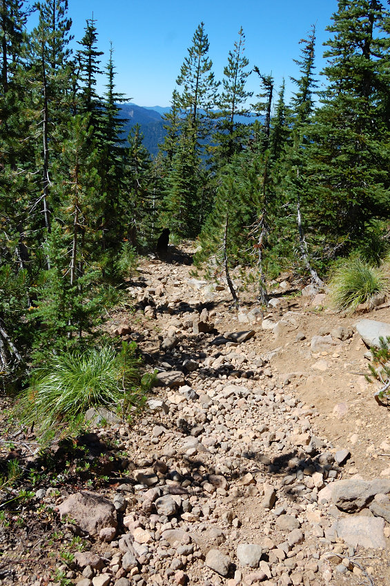 Last but not least, I should warn about condition of S Breitenbrush trail. Between mile 2-5, it looks more like dry stream bed, steep and filled with loose rock.
