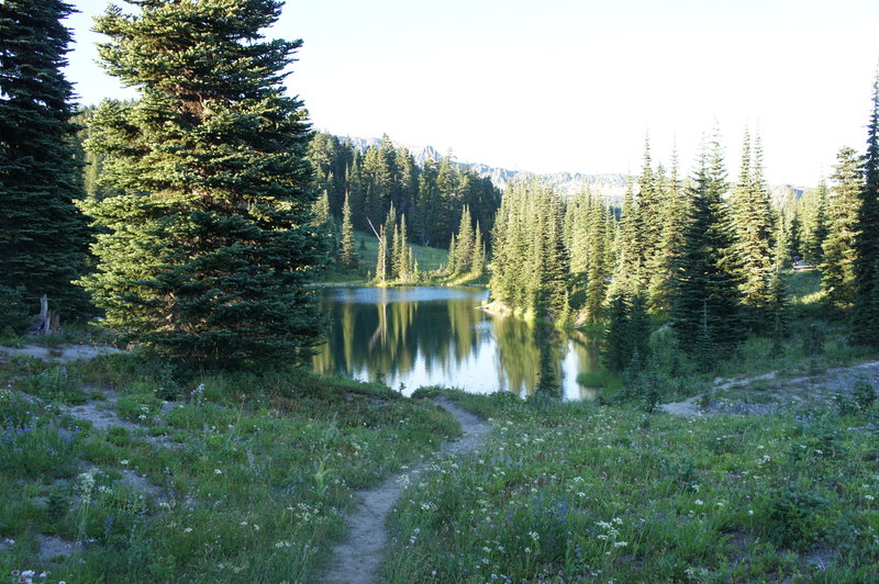 Sheep Lake