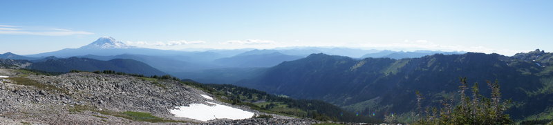 View of Mt. Adams from the PCT