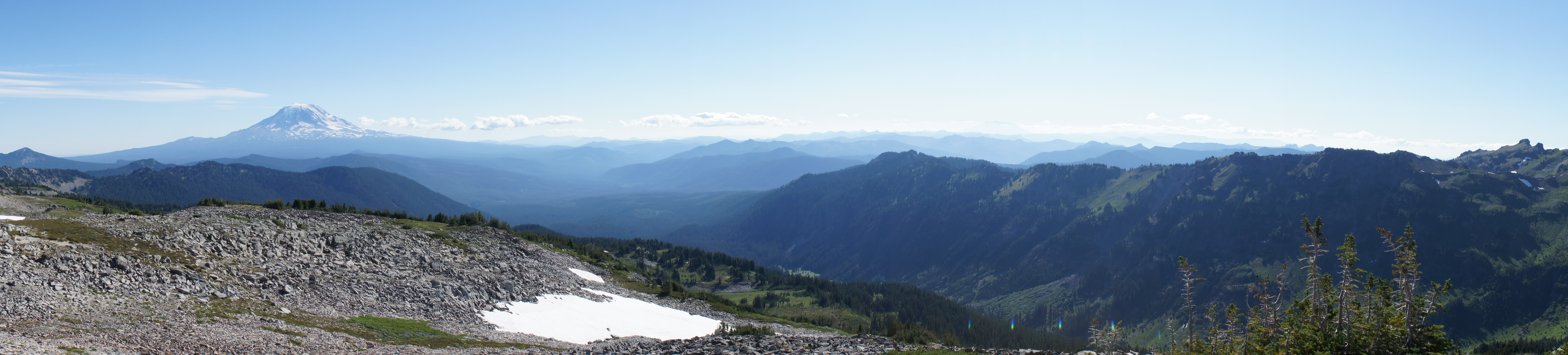 View of Mt. Adams from the PCT
