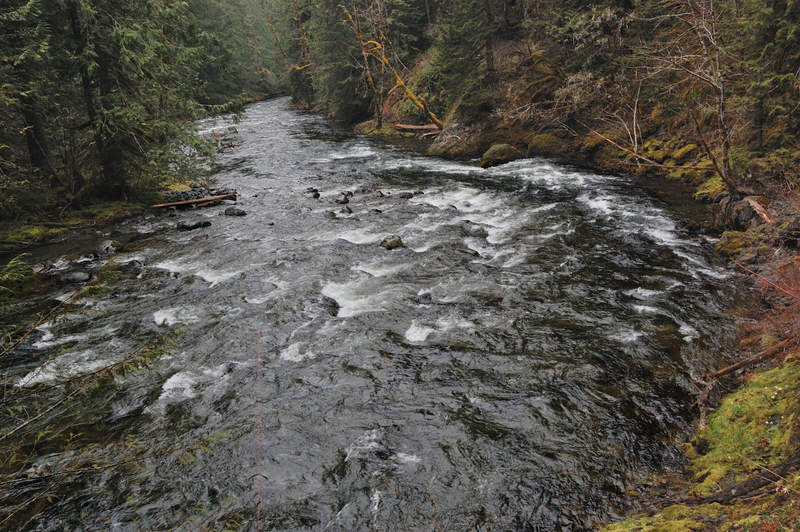 Salmon River