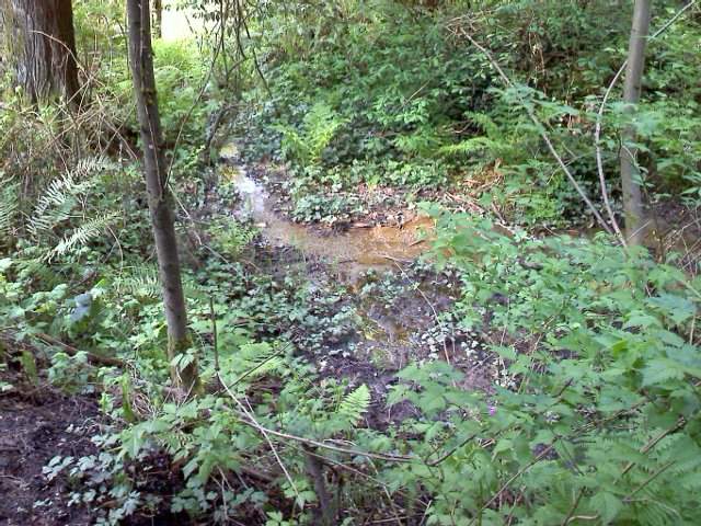 Seasonal stream near Cascade Lane